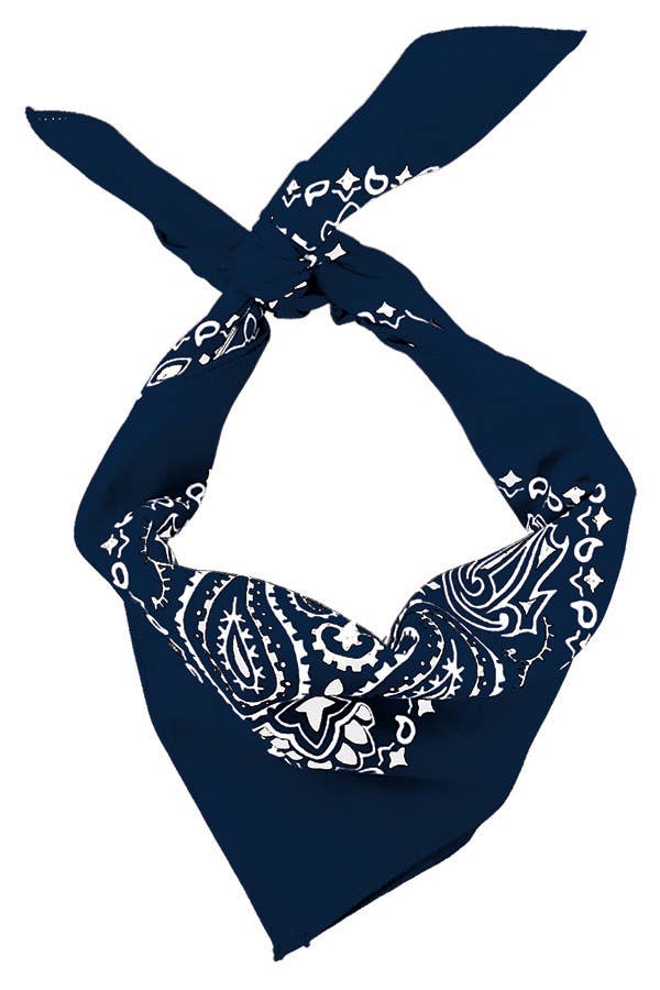 Bandanna - 22" MADE IN USA - Navy Paisley