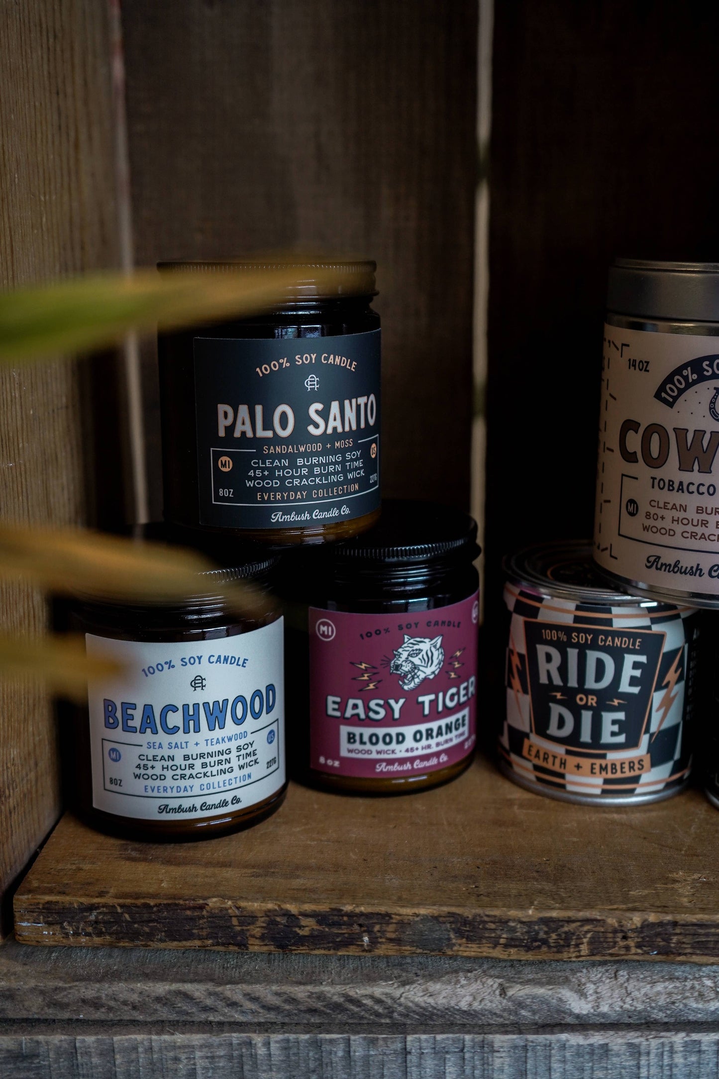 Palo Santo | Sandalwood + Moss 8oz Soy Candle