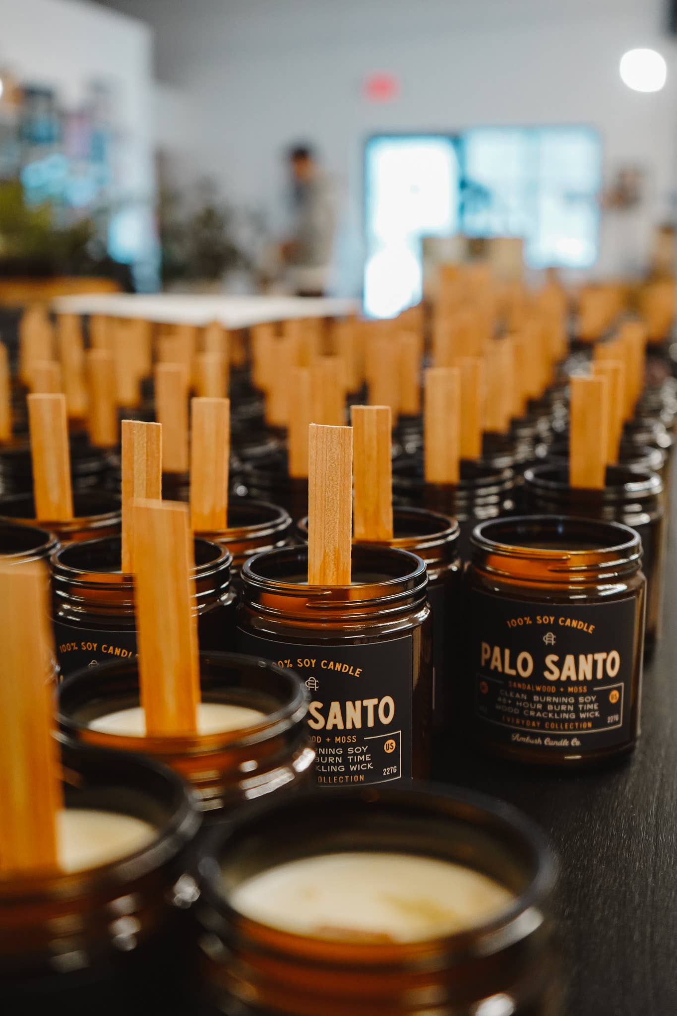 Palo Santo | Sandalwood + Moss 8oz Soy Candle