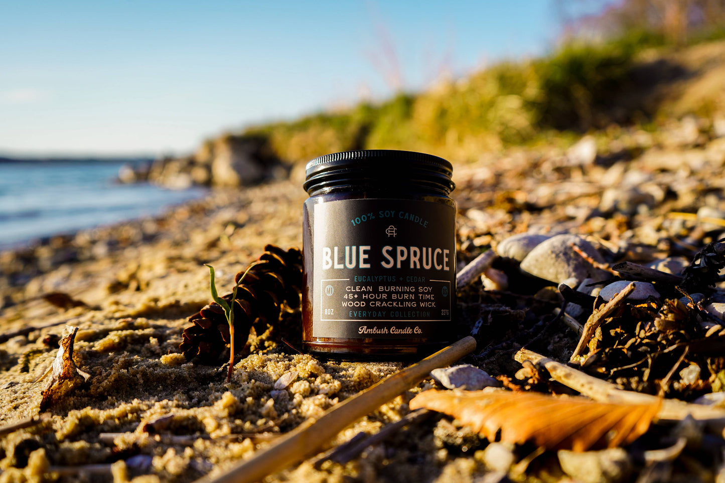 Blue Spruce | Eucalyptus + Cedar 8oz Soy Candle