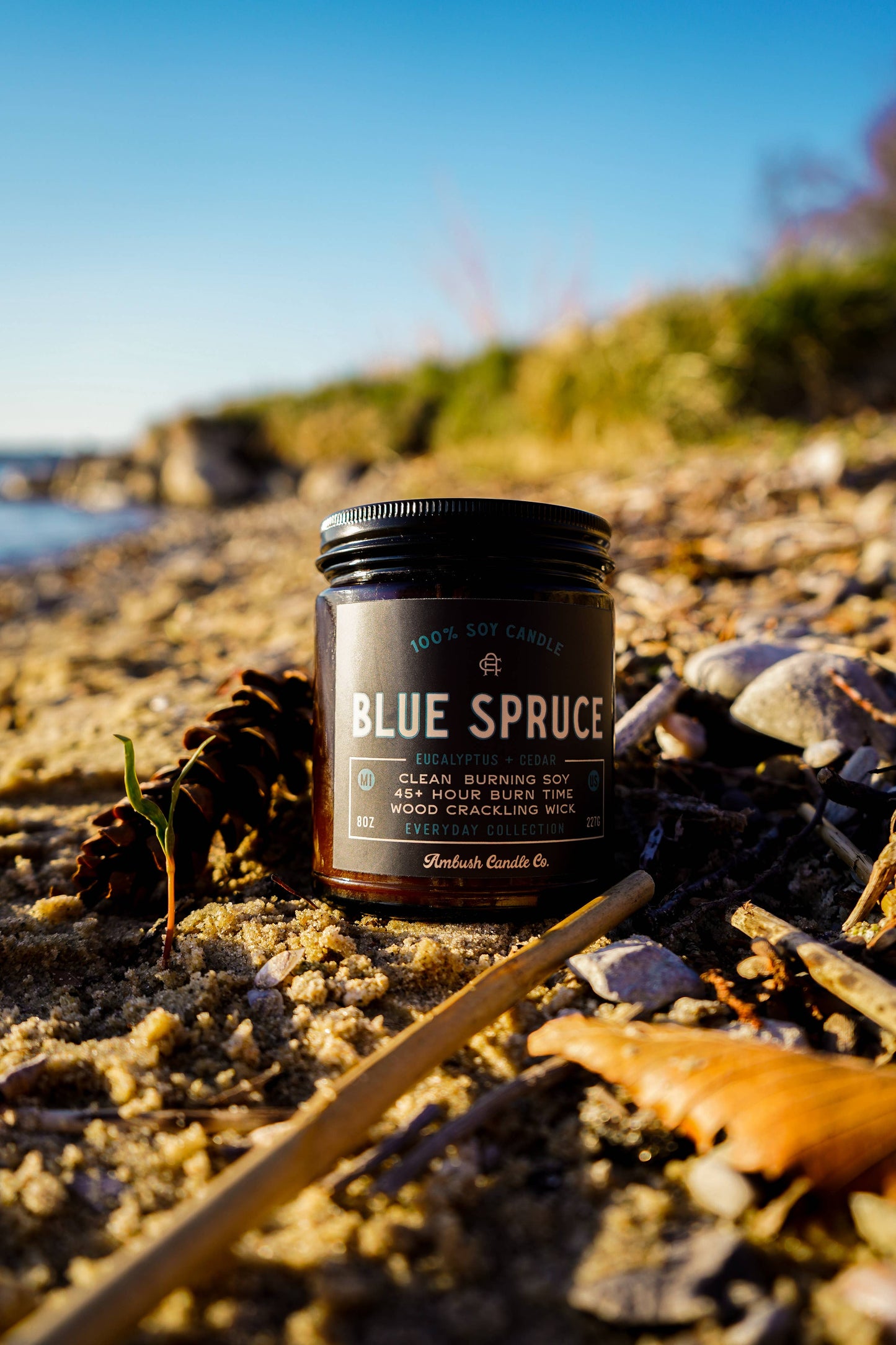 Blue Spruce | Eucalyptus + Cedar 8oz Soy Candle