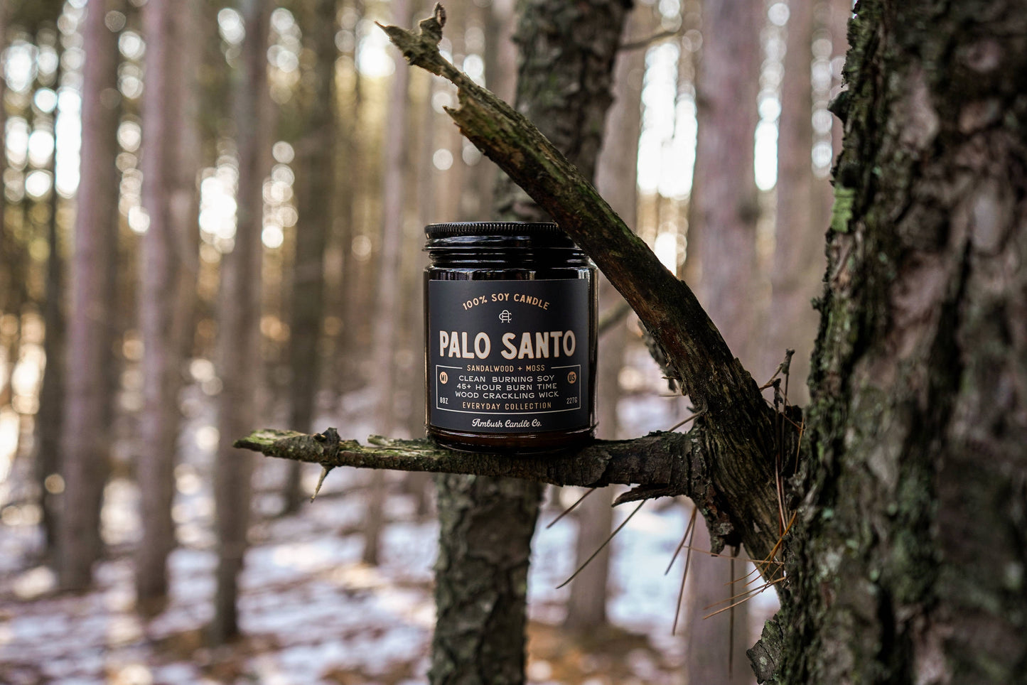 Palo Santo | Sandalwood + Moss 8oz Soy Candle
