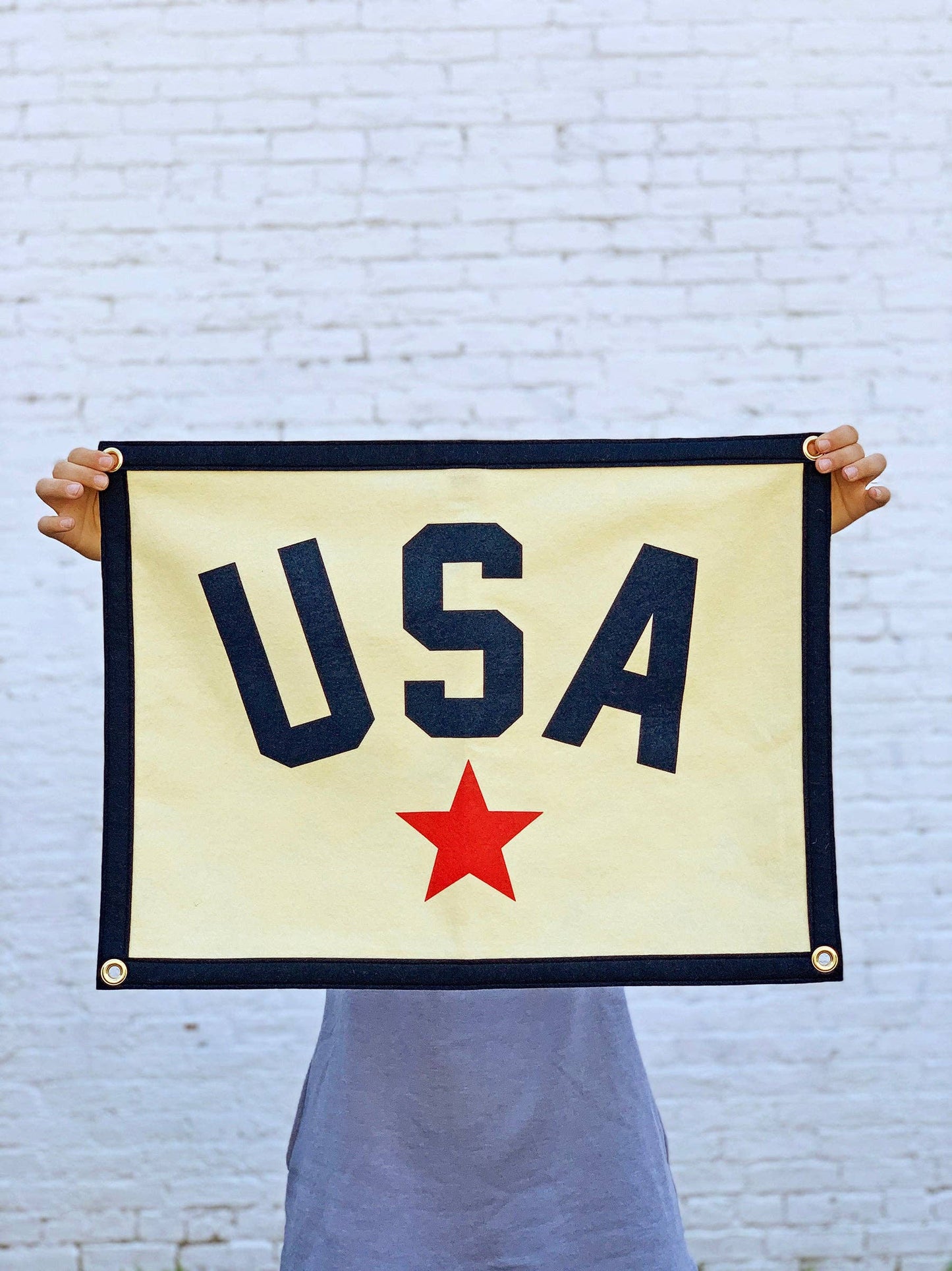 USA Camp Flag