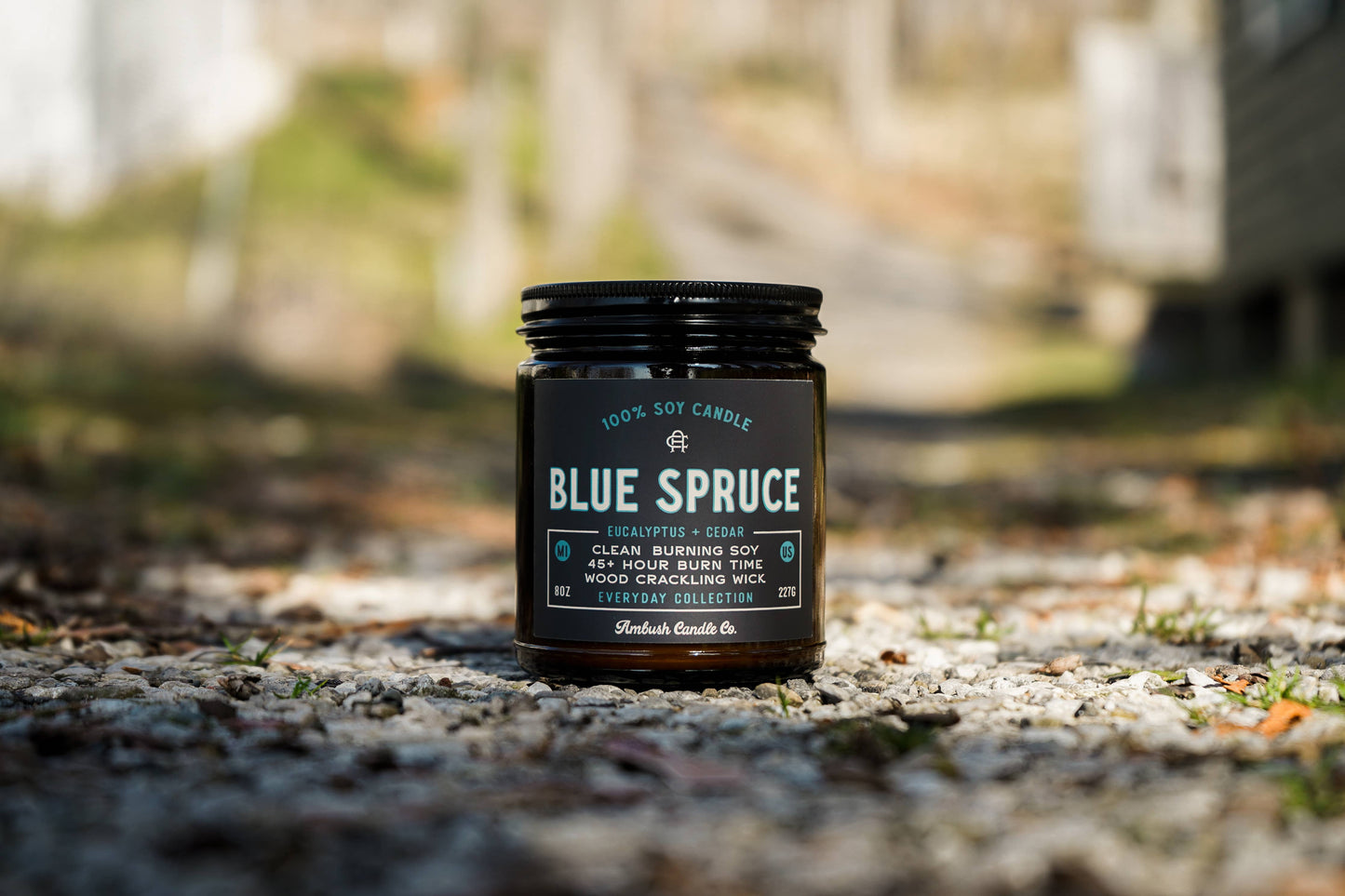 Blue Spruce | Eucalyptus + Cedar 8oz Soy Candle