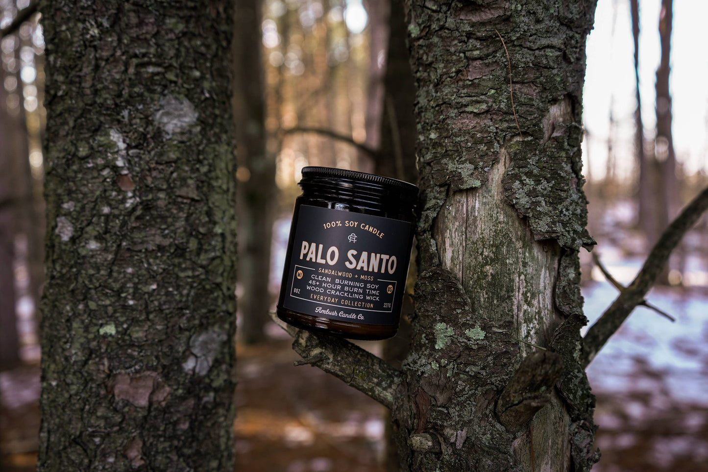 Palo Santo | Sandalwood + Moss 8oz Soy Candle