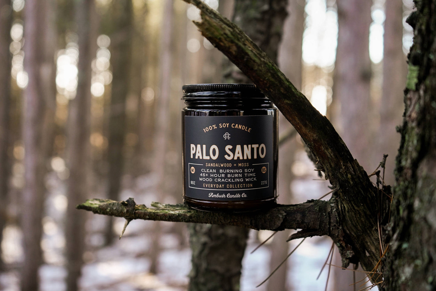 Palo Santo | Sandalwood + Moss 8oz Soy Candle