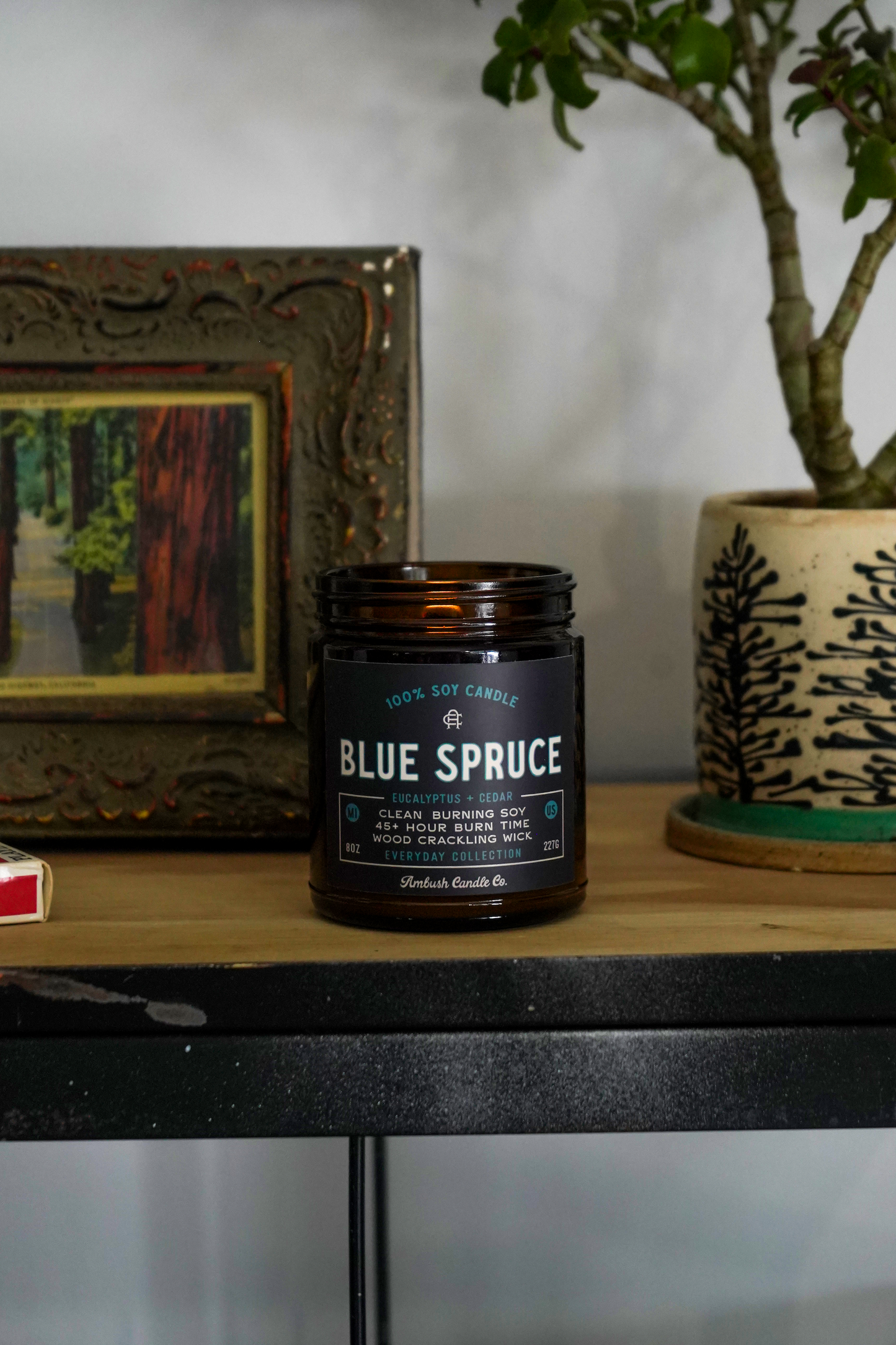 Blue Spruce | Eucalyptus + Cedar 8oz Soy Candle
